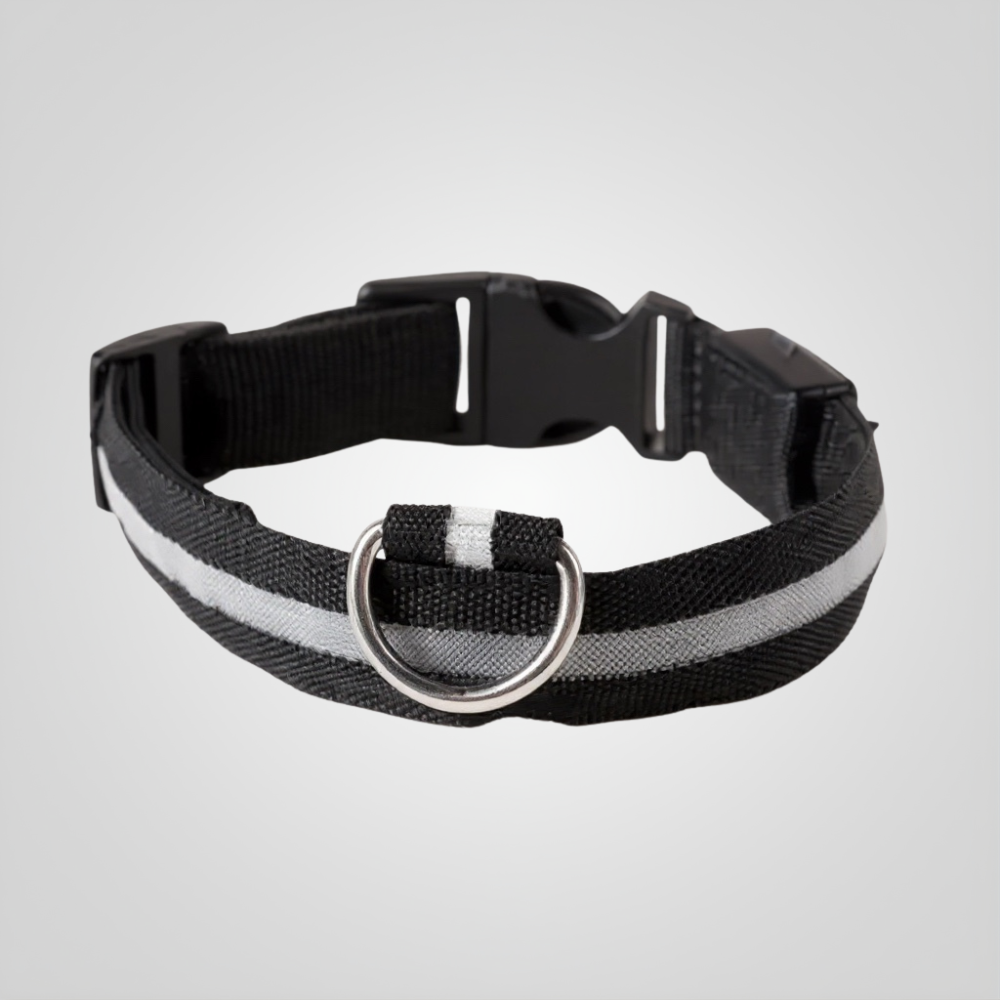 LED dog collar: flashing & rechargeable. Night safety, adjustable harness