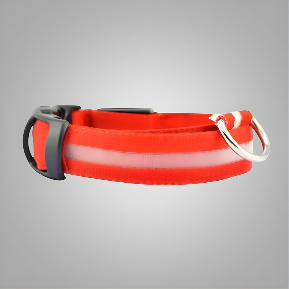 LED dog collar: flashing & rechargeable. Night safety, adjustable harness