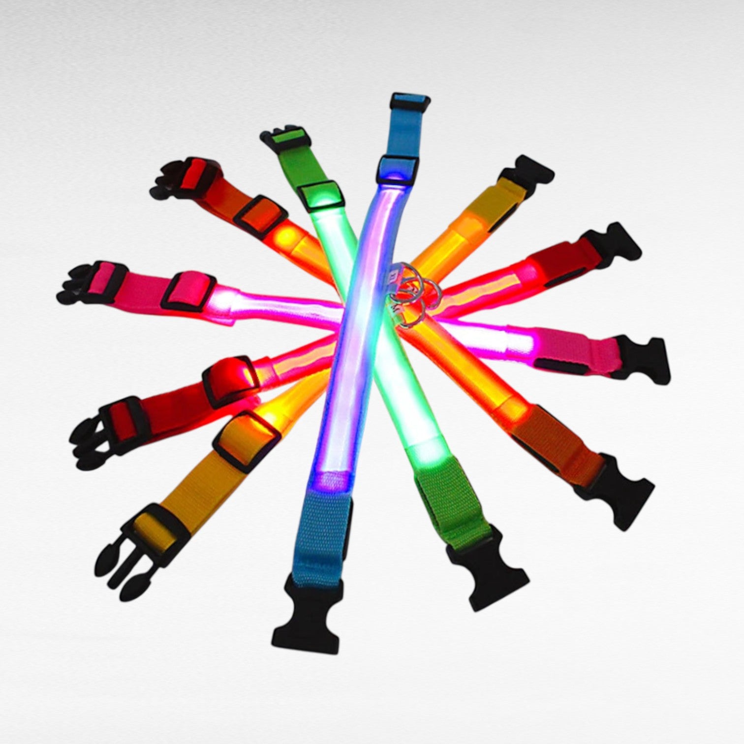 LED dog collar: flashing & rechargeable. Night safety, adjustable harness