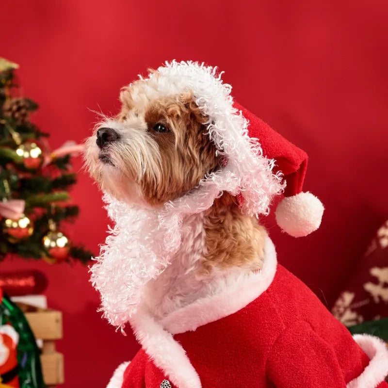 Christmas Santa Costume for Dogs | Hat & Suit Set | Premium Pet Wear