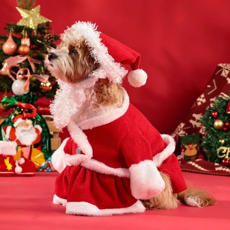 Christmas Santa Costume for Dogs | Hat & Suit Set | Premium Pet Wear