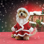 Christmas Santa Costume for Dogs | Hat & Suit Set | Premium Pet Wear