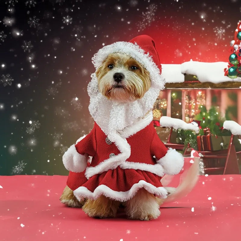 Christmas Santa Costume for Dogs | Hat & Suit Set | Premium Pet Wear