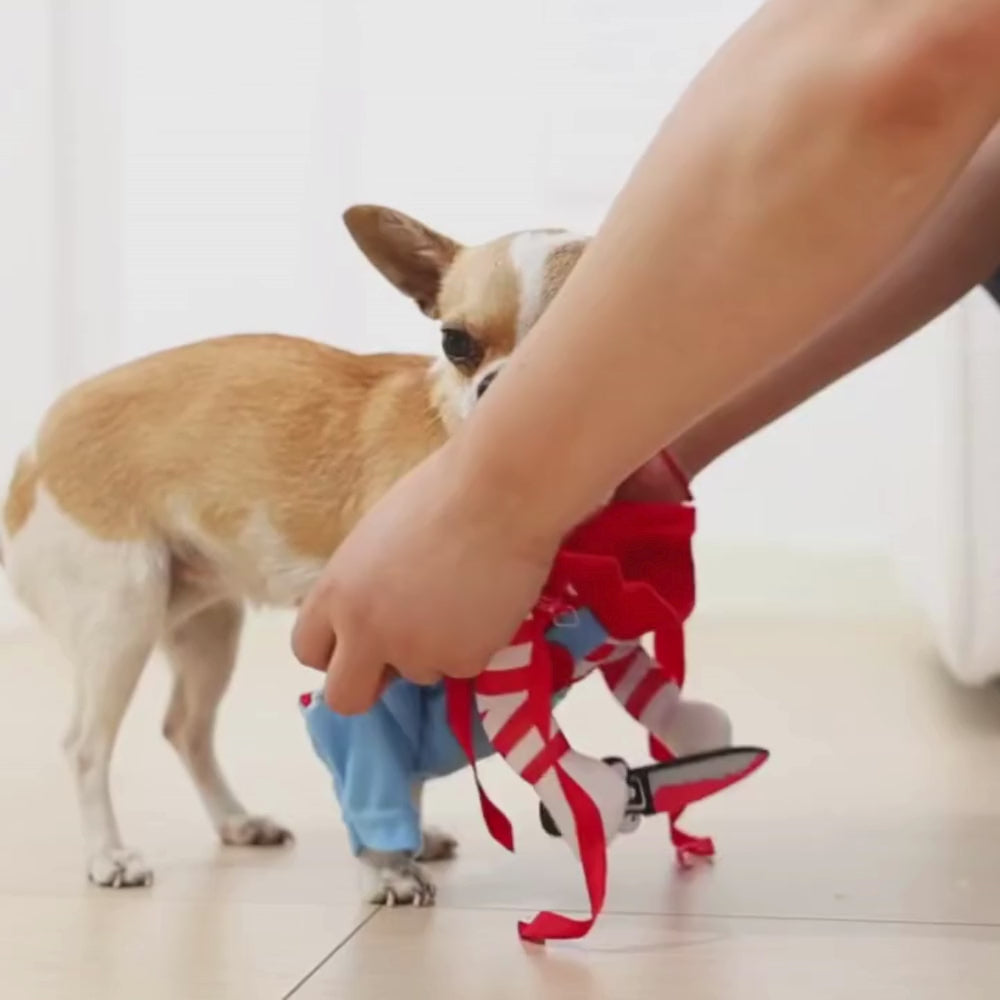 The Funny Hound | Adjustable Dog and Cat Costume with Accessories